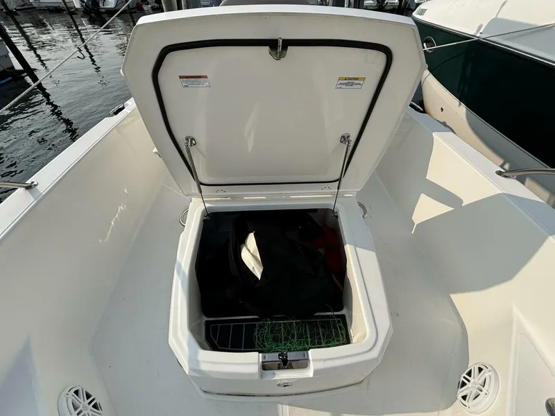 Slide: The Image of Boston Whaler 250 Dauntless 2023 - 20