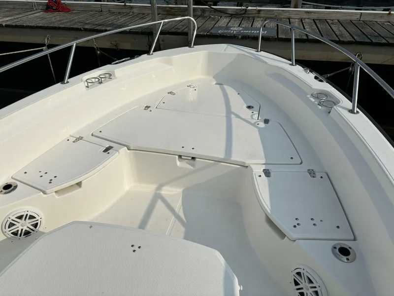 Slide: The Image of Boston Whaler 250 Dauntless 2023 - 22