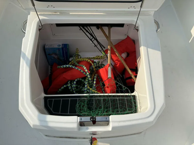 Slide: The Image of Boston Whaler 250 Dauntless 2023 - 24