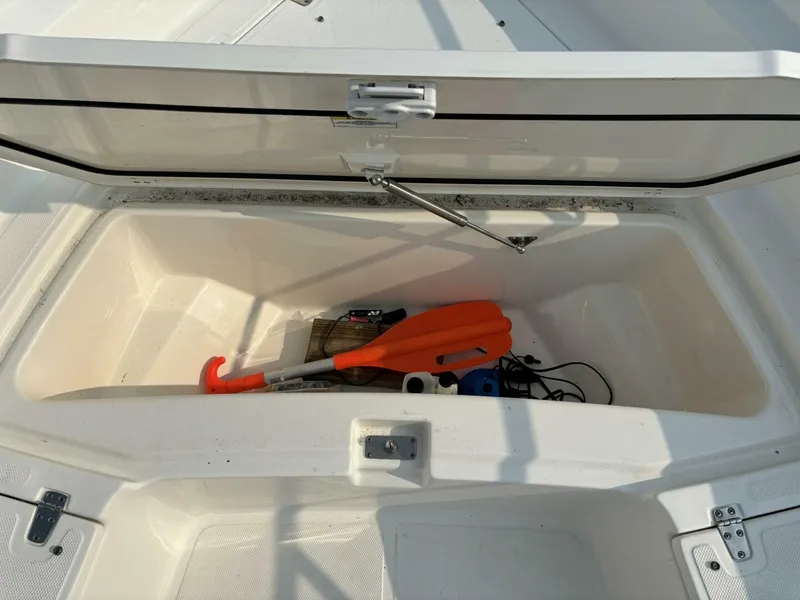 Slide: The Image of Boston Whaler 250 Dauntless 2023 - 25