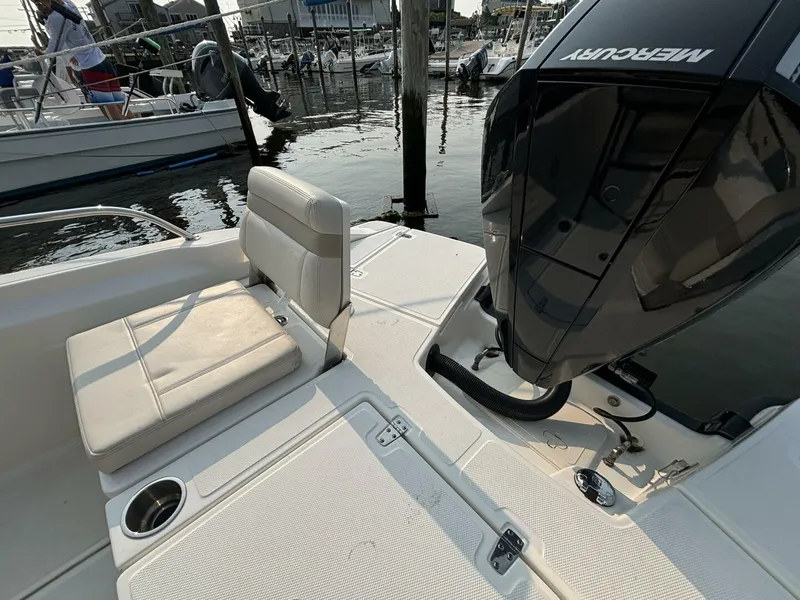 Slide: The Image of Boston Whaler 250 Dauntless 2023 - 5
