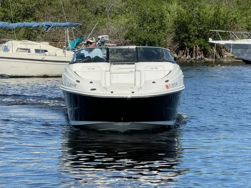 Slide: The Image of Sea Ray 260 Sundeck 2014 - 4
