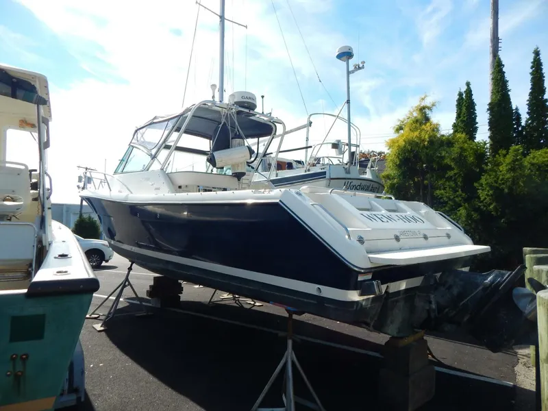 Slide: The Image of Pursuit 2860 Denali 2001 - 3