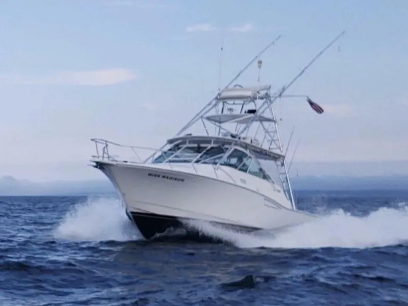 Slide: The Image of Cabo Express 2003 - 2