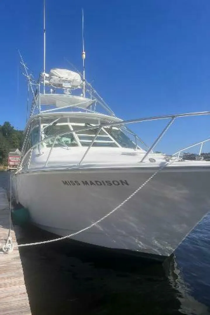 Slide: The Image of Cabo Express 2003 - 4