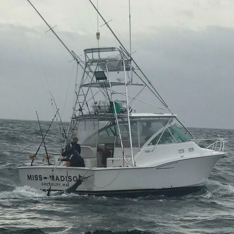 Slide: The Image of Cabo Express 2003 - 5