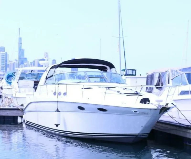 The Image of Sea Ray Sundancer 1996 - 0