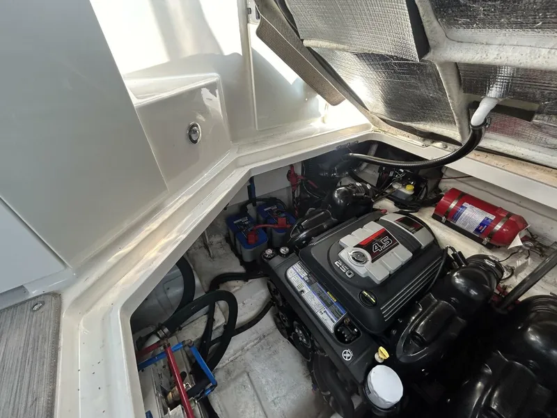 Slide: The Image of Sea Ray 310 Sundancer 2016 - 24