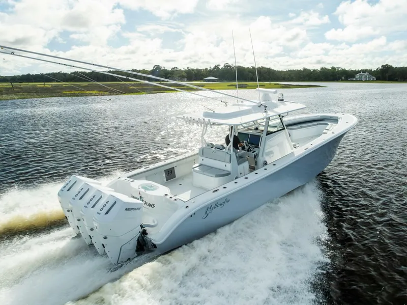 The Image of Yellowfin 2023 - 0