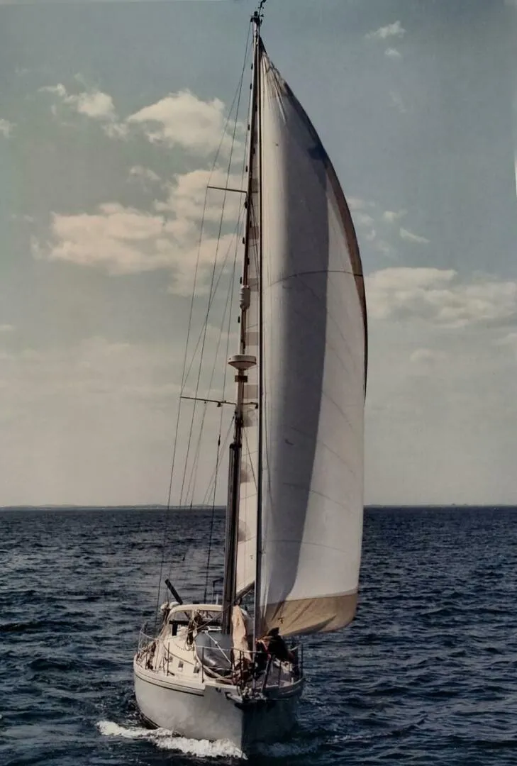 Slide: The Image of Brewer Kaiulani 1988 - 49