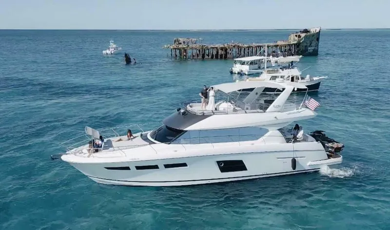 The Image of Prestige 620 2013 - 0