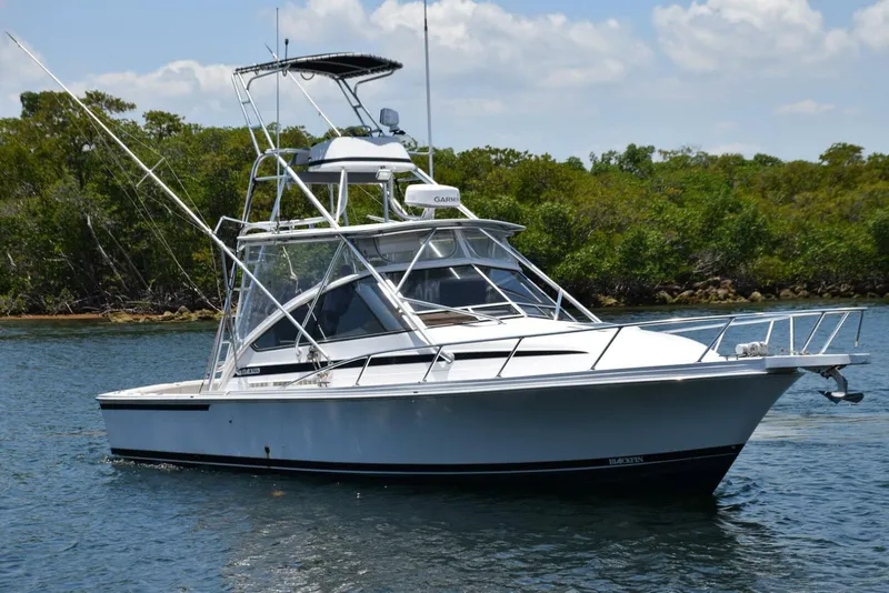 The Image of Blackfin Combi 33 1995 - 0