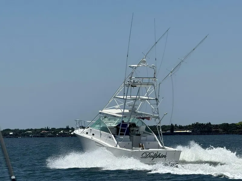 The Image of Cabo 35 Express 2002 - 0