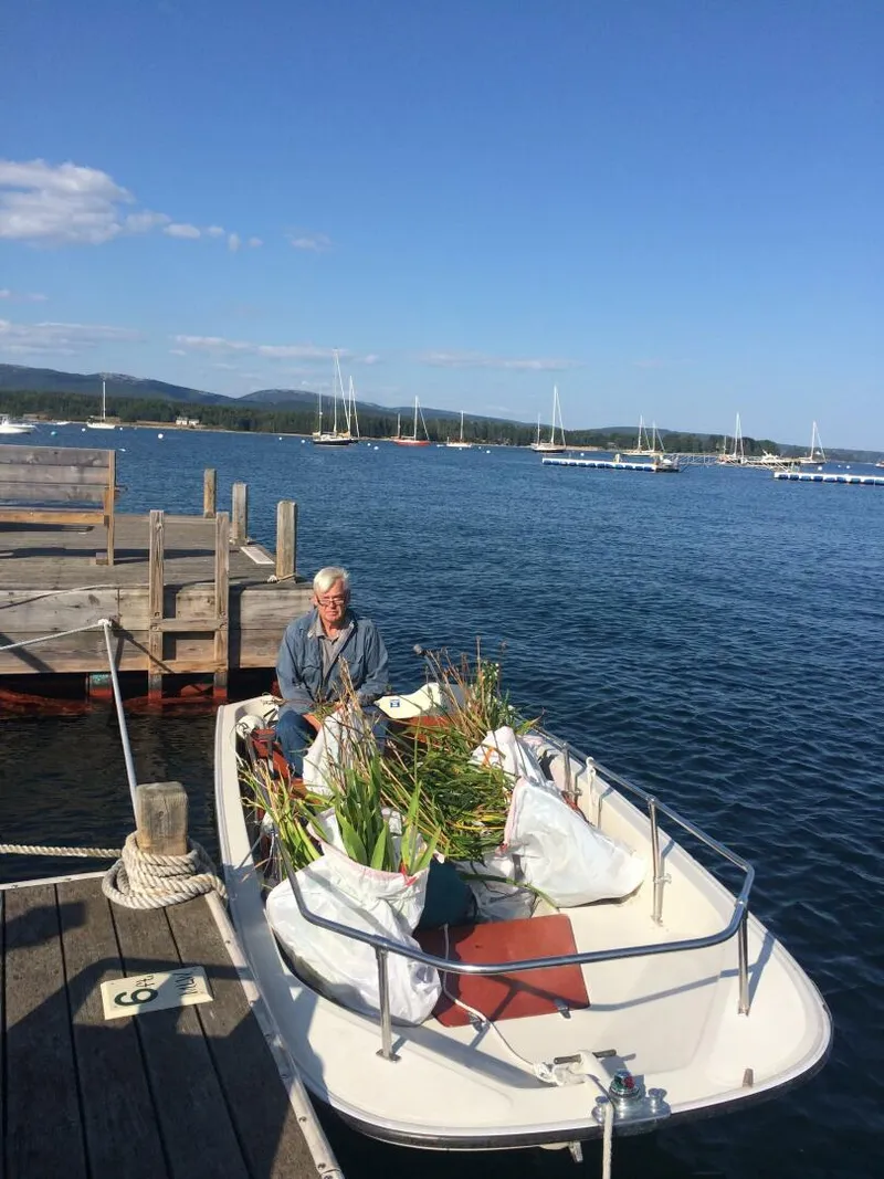 The Image of Boston Whaler 1985 - undefined