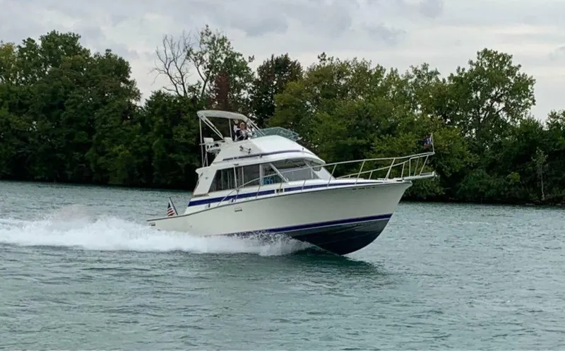 The Image of Bertram 33 Flybridge Cruiser 1983 - 0
