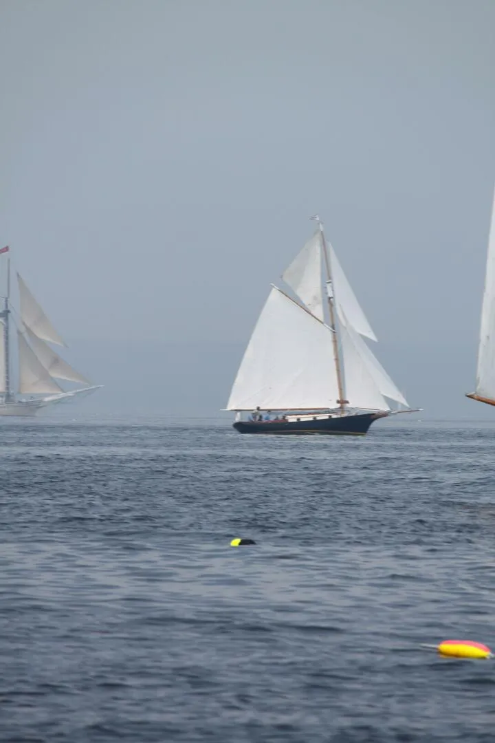 The Image of Bruno & Stillman Friendship Sloop 1973 - 0