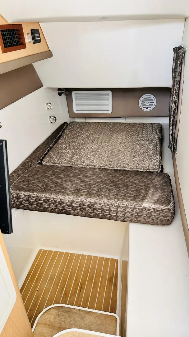 Slide: The Image of World Cat 320 DC 2019 - 5