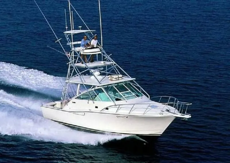 The Image of Cabo 35 Express 2000 - 0
