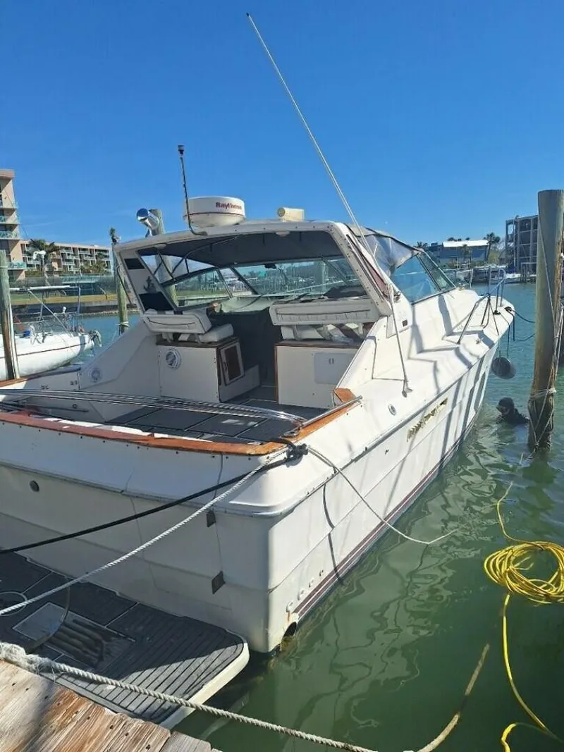 The Image of Sea Ray 390 Express Cruiser 1985 - 0