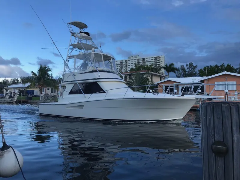 The Image of Viking 38 Convertible 1990 - 0