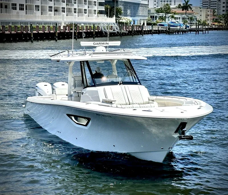 Slide: The Image of Pursuit 378 2022 - 3