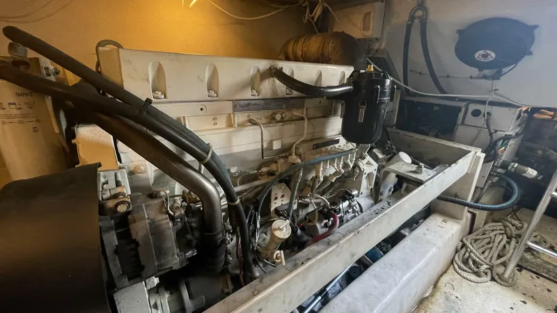 Slide: The Image of Luhrs 41 Open 2006 - 13