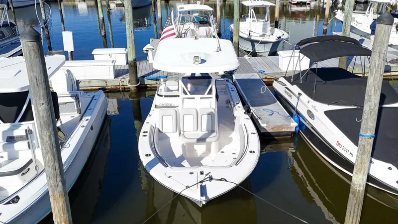 Slide: The Image of Sea Fox 249 Avenger 2019 - 3