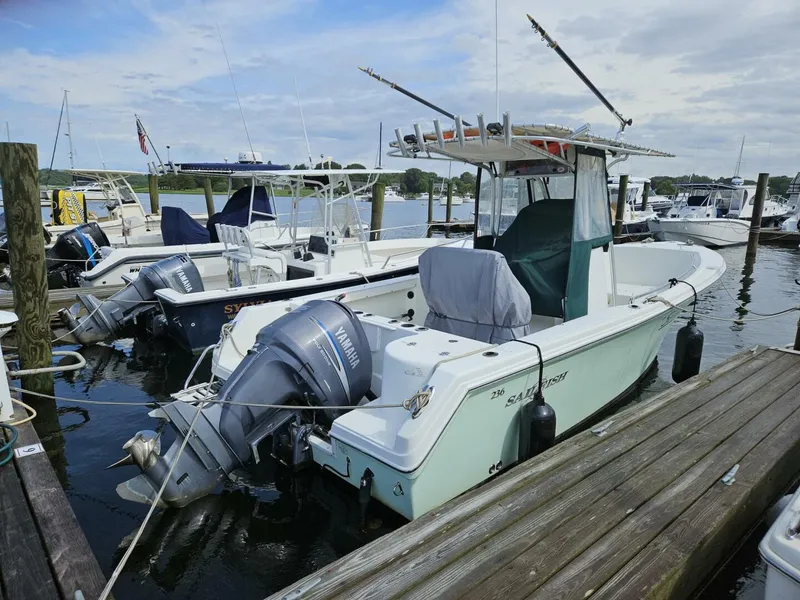 The Image of Sailfish 2005 - 0