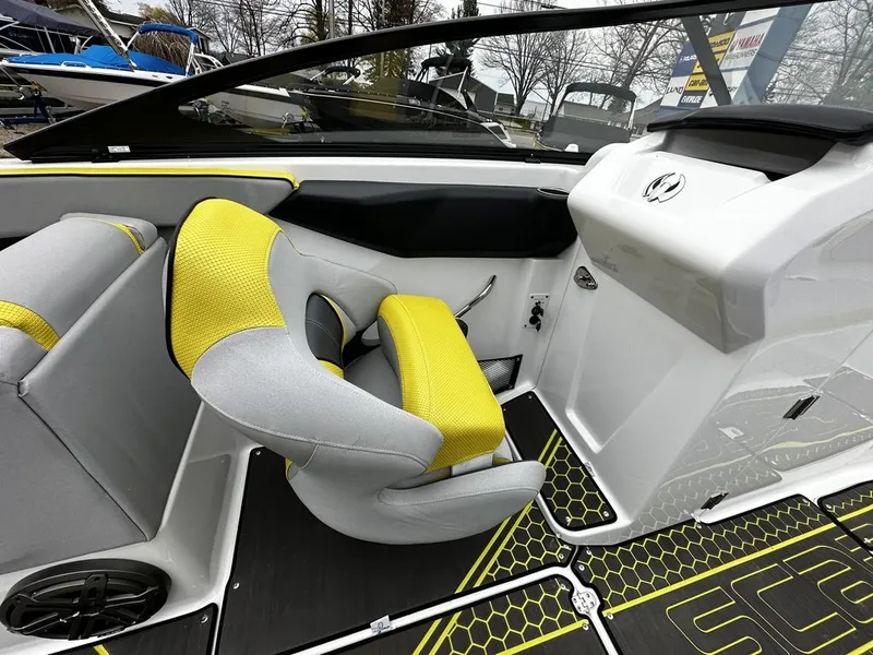 Slide: The Image of Scarab 255 ID 2023 - 11