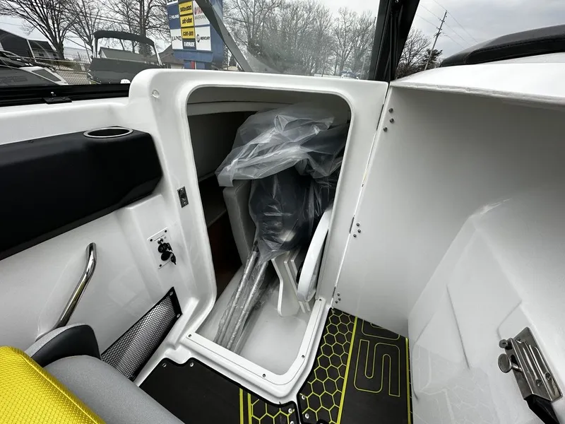 Slide: The Image of Scarab 255 ID 2023 - 12