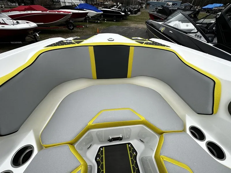 Slide: The Image of Scarab 255 ID 2023 - 15