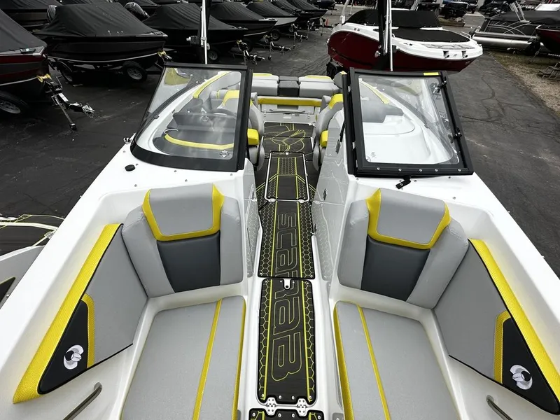 Slide: The Image of Scarab 255 ID 2023 - 16