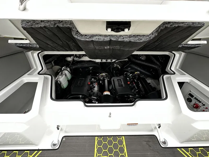 Slide: The Image of Scarab 255 ID 2023 - 19