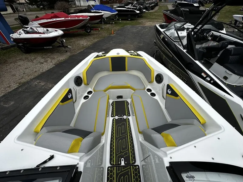 Slide: The Image of Scarab 255 ID 2023 - 21