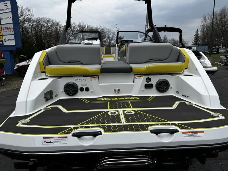 Slide: The Image of Scarab 255 ID 2023 - 4