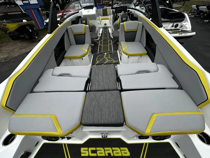 Slide: The Image of Scarab 255 ID 2023 - 6