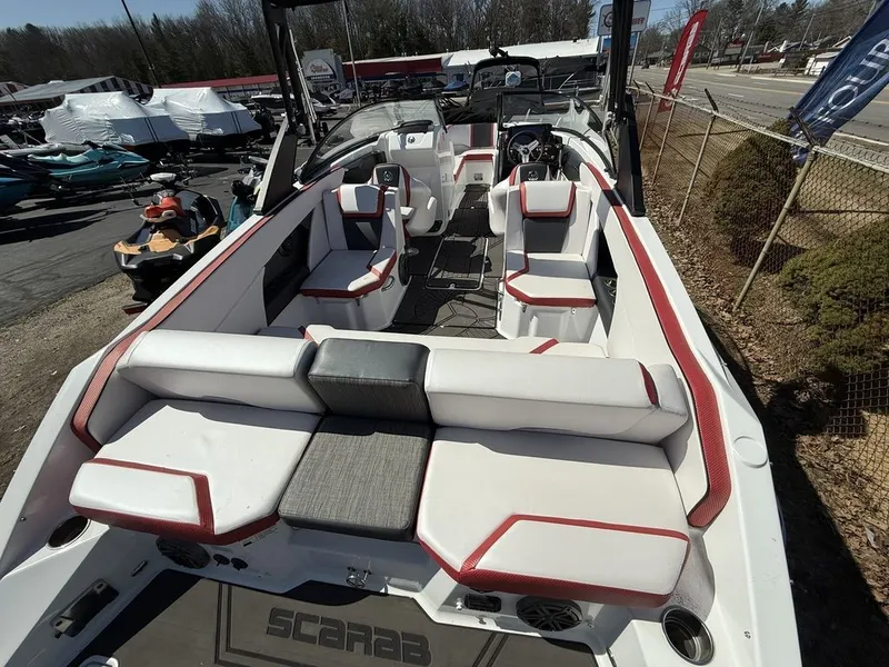 Slide: The Image of Scarab 255 ID 2023 - 12