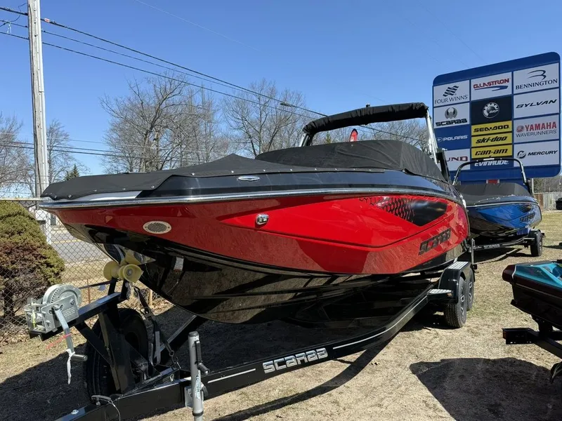 Slide: The Image of Scarab 255 ID 2023 - 2