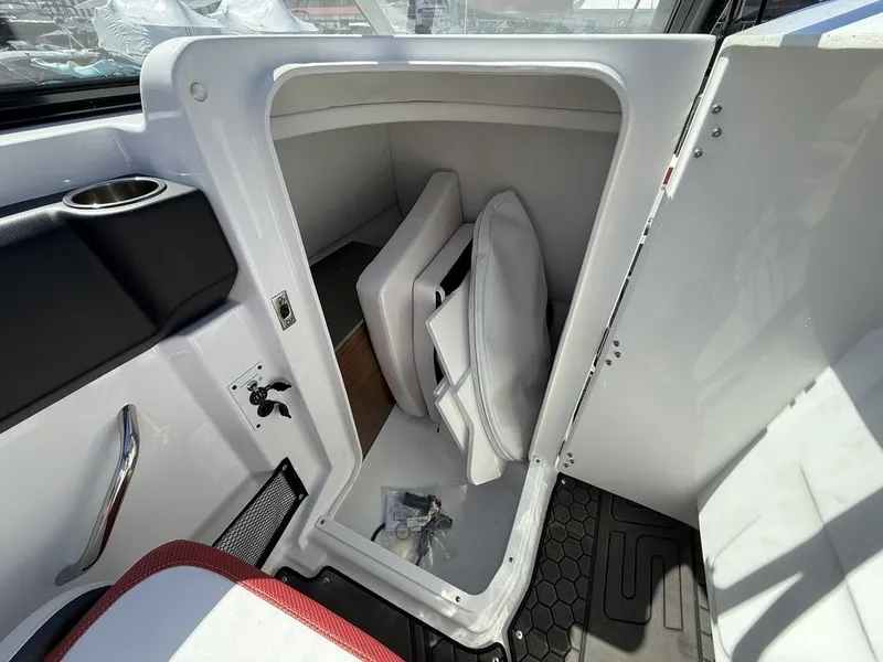 Slide: The Image of Scarab 255 ID 2023 - 20