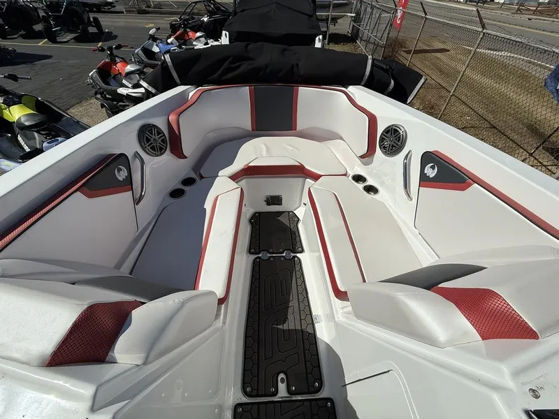 Slide: The Image of Scarab 255 ID 2023 - 23