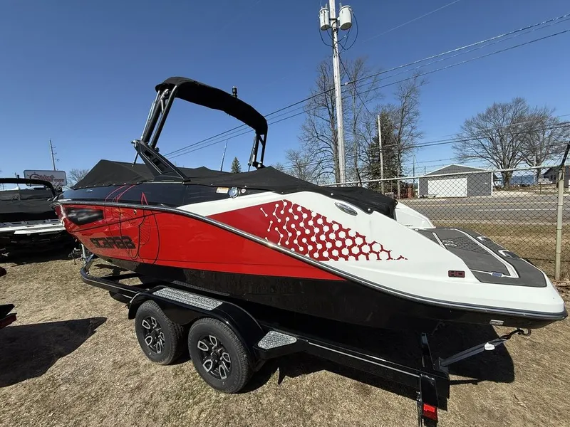 Slide: The Image of Scarab 255 ID 2023 - 3