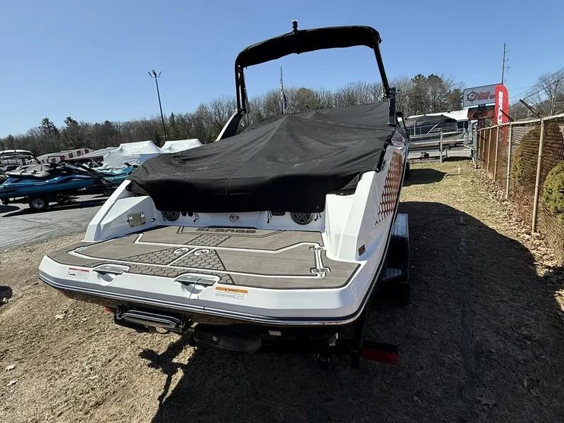 Slide: The Image of Scarab 255 ID 2023 - 4