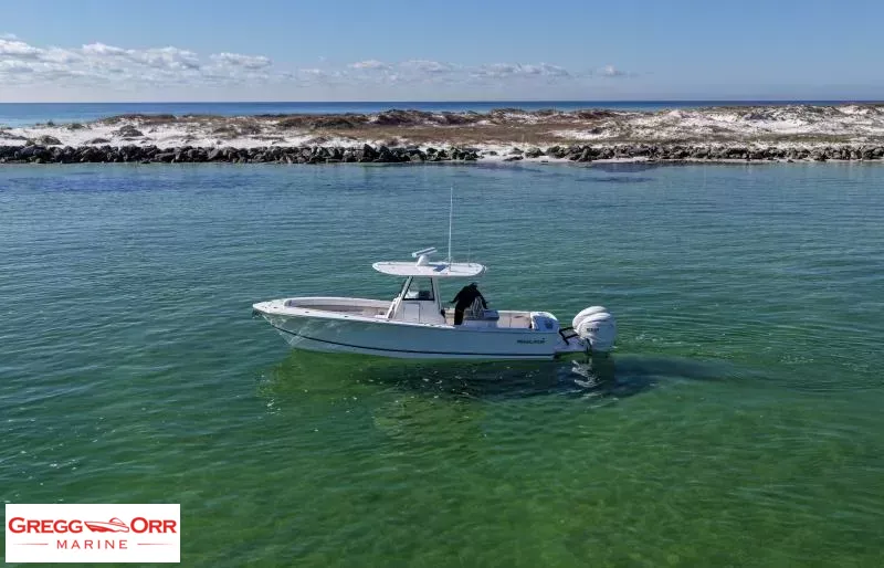 The Image of Regulator Marine REG31 2026 - 0