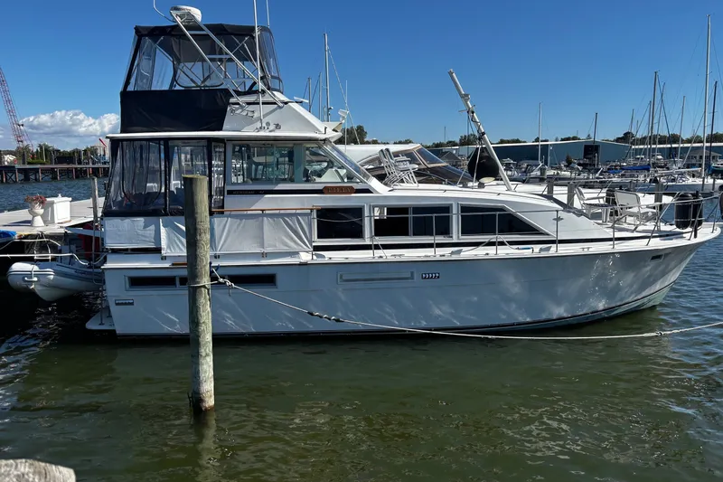 The Image of Bertram 42 Flybridge Motor Yacht 1975 - 0
