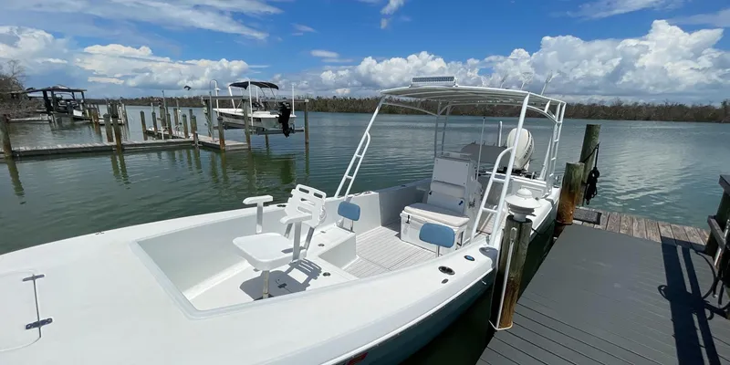 Slide: The Image of Andros Tarpon 26 2006 - 12