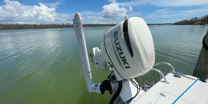 Slide: The Image of Andros Tarpon 26 2006 - 14