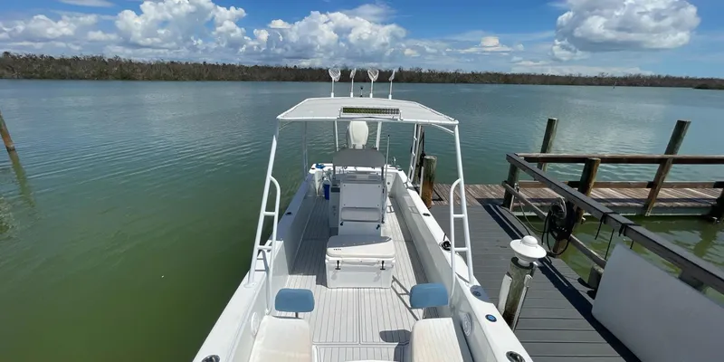 Slide: The Image of Andros Tarpon 26 2006 - 30