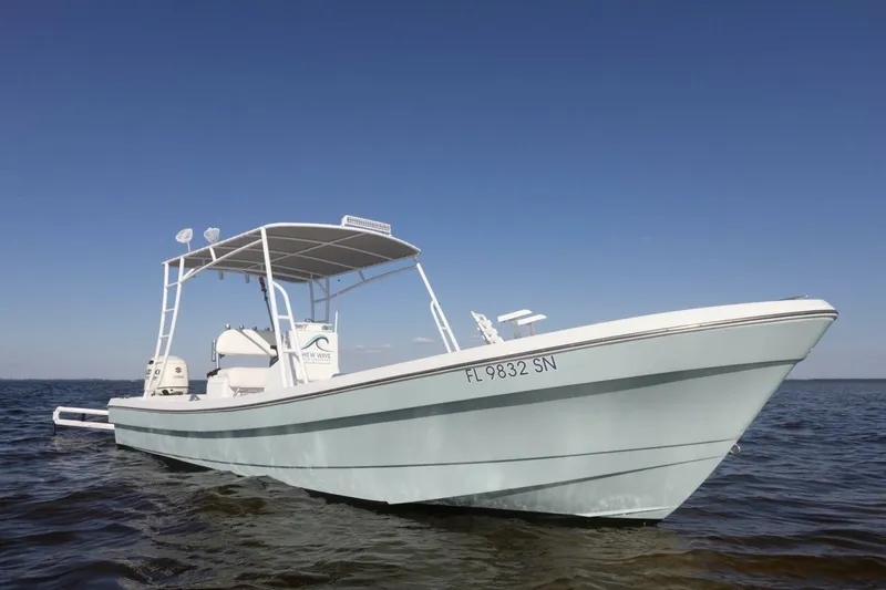Slide: The Image of Andros Tarpon 26 2006 - 4
