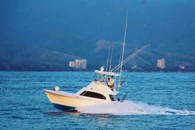 Slide: The Image of Sunny Briggs Custom Carolina 1984 - 3
