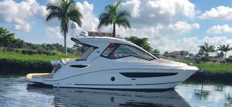 Slide: The Image of Sea Ray Sundancer 350 2018 - 10
